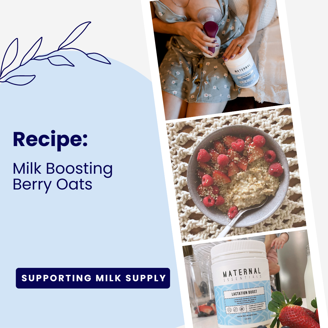 Lactation Boost Berry Oat Bowl