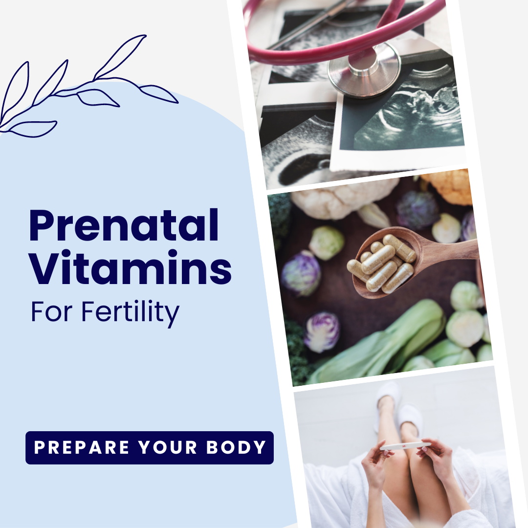 The Best Prenatal Vitamins for Fertility