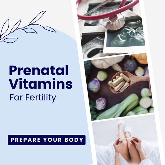 The Best Prenatal Vitamins for Fertility 